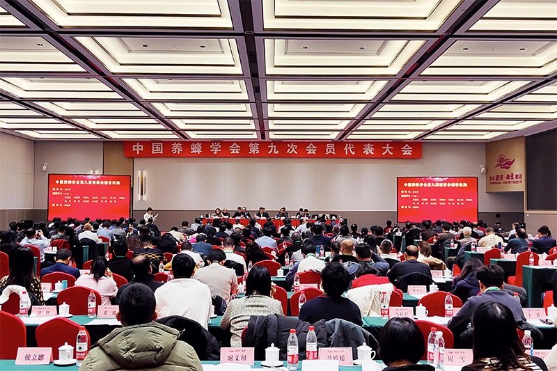 中国养蜂学会第九次会员代表大会召开，金沙集团当选第九届理事单位